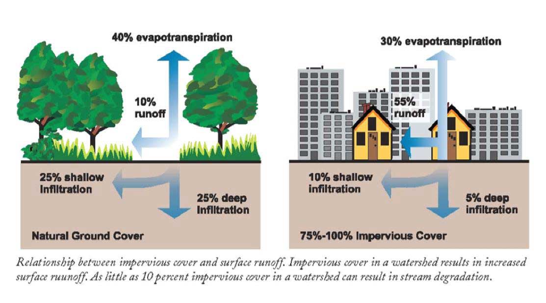 Stormwater Tip May 2019