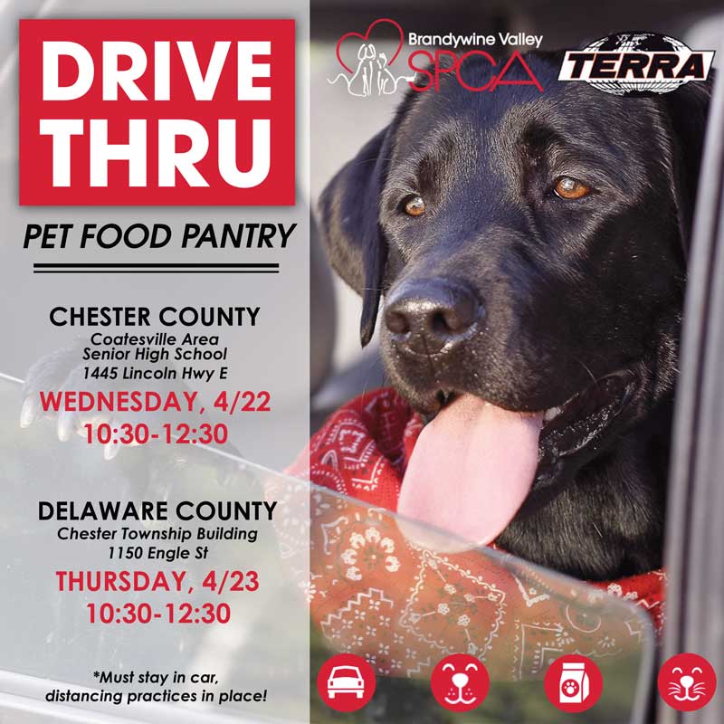 Drive Thru Pet Food Pantries for Families in Need Yeadon Borough