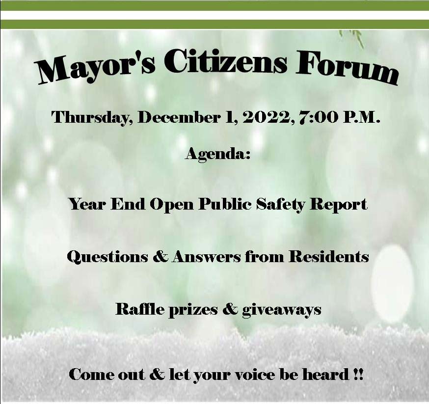 Mayor's Citizens Forum