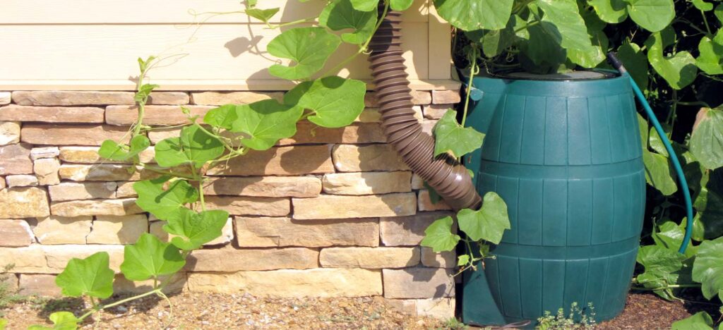 Rain Barrel Workshop